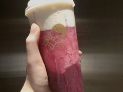 多肉杨梅-喜茶(东莞雍华庭店)