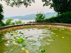 -天目湖涵田度假村