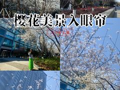 -苏州香格里拉大酒店
