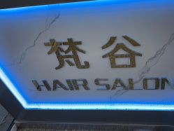 -茗梵谷造型