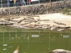-广东茂名森林公园