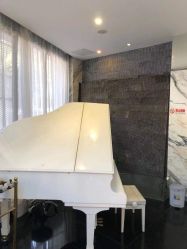 -比华利美容医院