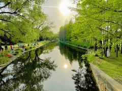 -上海共青森林公园