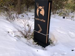 -瑞幸咖啡(泊寓瑞达公寓店)