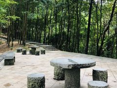 -火炉山森林公园