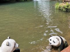 -中国大熊猫保护研究中心雅安碧峰峡基地