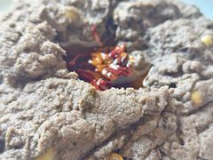 -天和晟新京菜.水煮鱼.湘土菜(国展店)