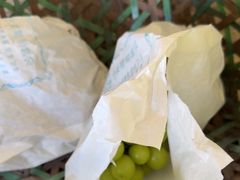 -马陆小张葡萄园农家乐