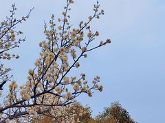 -南京市江宁方山