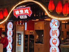 -辣叁成烧菜火锅