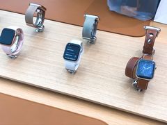 -Apple 零售店(Canton Road)