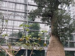 -南山植物园