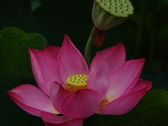 -大宁灵石公园西门票处