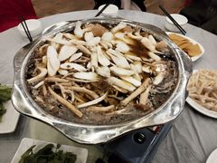 -武陵山森林公园