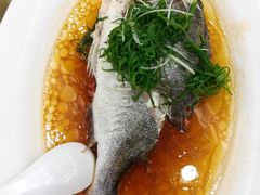 -新金盛·海鲜酒楼(盐田店)