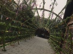 -西青郊野公园