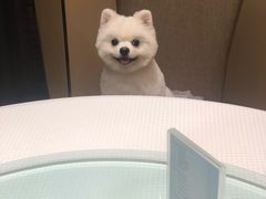 -双井轩(双井店)