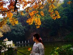 -西樵山风景名胜区-天湖公园