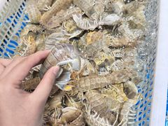 -新阿布海鲜大酒店