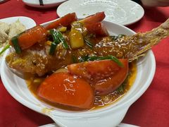 -蛇口康乐快餐鱼仔档(翠苑小区店)