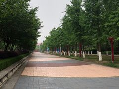 -金陵图书馆