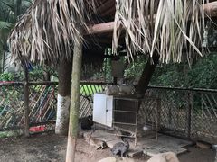 -东莞御景湾湖畔酒店·莱奥咖啡厅