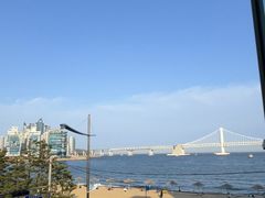 -蚂蚁家辣炒章鱼(海云台店)