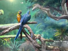 -福州罗源湾海洋世界旅游区