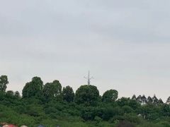 -秀丽东方