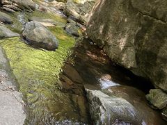 -燕子河大峡谷天坑仙境