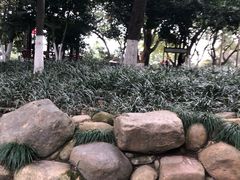-临平公园(临平街道)