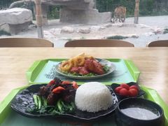 京都大块牛肉-上海野生动物园老虎餐厅