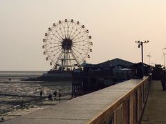 -碧海金沙