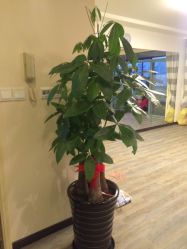 瑜舍连锁瑜伽教室(临平路店)-瑜舍连锁瑜伽