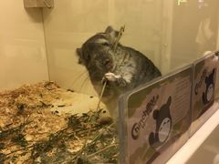 -龙猫仔乐园(惠福东路店)