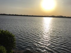 -丁香湖公园