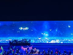 -鼎盛王朝康熙大典实景演出