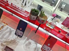 -转转二手回收(新城吾悦广场店)