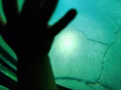 -白鹤梁水下博物馆