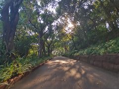 -广州莲花山旅游区