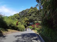 -中国大熊猫保护研究中心雅安碧峰峡基地