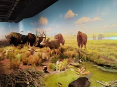 -陕西自然博物馆