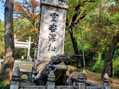 -灵谷景区
