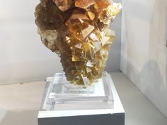-中国地质大学逸夫博物馆