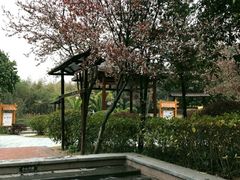 -咸宁万豪温泉谷度假区