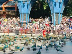 -西双版纳原始森林公园