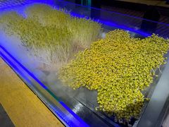 -巴倒烫陆派火锅山庄(南山总店)