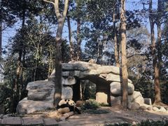 -中国大熊猫保护研究中心雅安碧峰峡基地