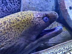 -成都浩海立方海洋公园