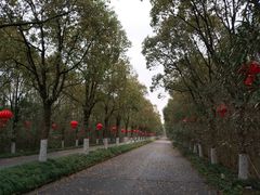 -上海海湾国家森林公园